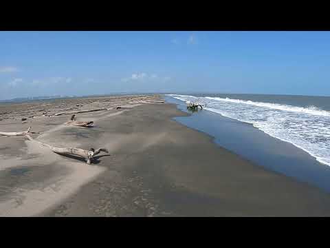 Bocas de ceniza, Puerto mocho, Ciénaga Mallorquín, Barranquilla, Atlántico