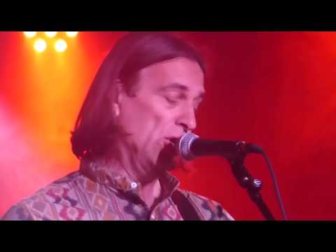 Drevored - Daleč od ponorelega sveta (Live) Trzin 2020