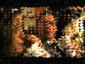 NCIS- Ziva - I Don't believe it anymore 