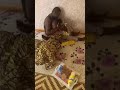 Kalli Suna Iskanci Karara Aishatutv7674 Gindin Matan Hausawa Nonon Mata