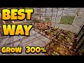 How to Build Greenhouse Farm in Icarus Guide
