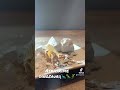Magy Archeologijos kasinėjimo rinkinys dinozauras