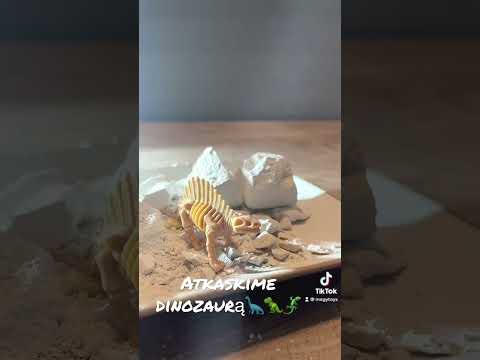 Magy Archeologijos kasinėjimo rinkinys dinozauras video