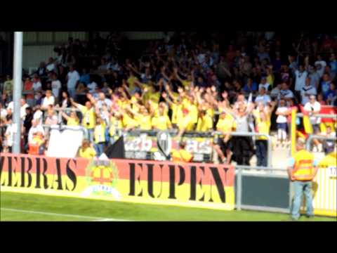 eupen roulers   retour des ZEBRAS   ET LE HUMBA .....