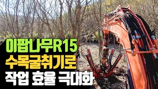 20241108 이팝나무R15 센스정공 수목굴취기로 작업 효유…