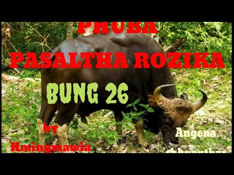 PHUBA PASALTHA ROZIKA 26