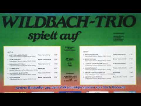 Wildbach Trio - 03 - Höllenfahrt Polka