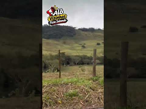 Dois vizinhos Paraná a terra de gente feliz #paraná #doisvizinhos