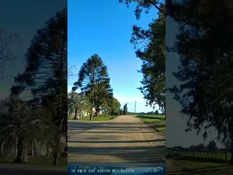 Por el centro de la Colonia Delta