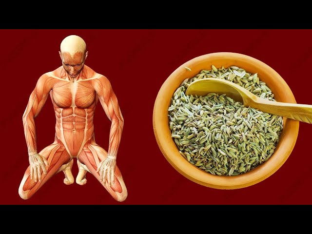 Fennel Tea: Benefits, Side Effects and How to Make it – TopicTea