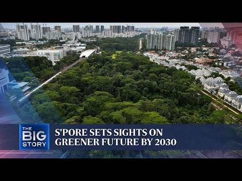 Singapore Green Plan 2030 to change the way people live, work, study and play | The Straits Times