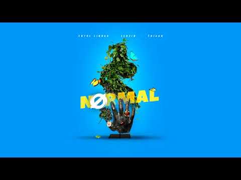 Entre Linhas x Leozin x Thiago- NORMAL (Prod. Jay Kay) 💵