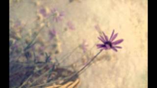 Goethes erben &amp; Peter Heppner - Glasgarten