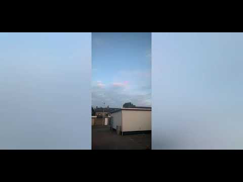 Nico signal feuerwerk 6 schuss signal flare