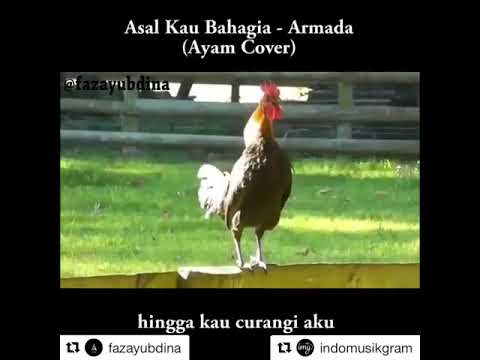 download lagu mp3 mp4 Aysm, download mp3 Aysm free downloadn, video klip Aysm