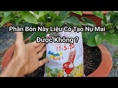 Is This Fertilizer To Create Plum Buds, Or Is It To Nurture Plum Buds?.