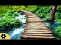 Zen Meditation Music, Soothing Music, Relaxing Music Meditation, Zen, Binaural Beats, ✿2587C Zen Meditation Music, Soothing Music, Relaxing Music Meditation, Zen, Binaural Beats, ✿2587C