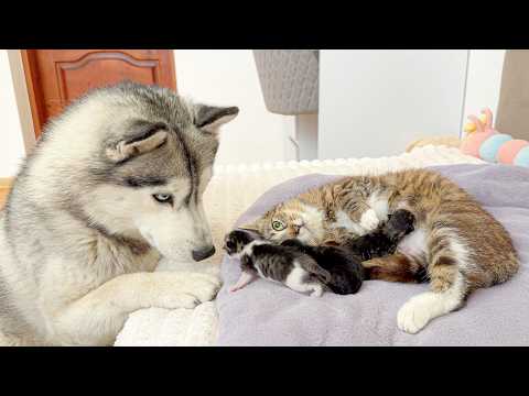 YouTube 썸네일