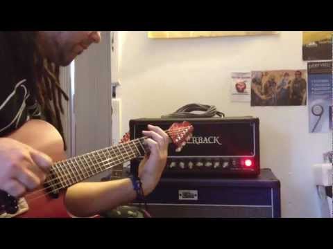 A Quick Look At Proto 2 Rob Chapman "Silverback" Amp from Victory Amplification