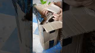 Plant unboxing | 11 plants from Amazon | Buy plant online | सस्ते और अच्छे पौधे ।