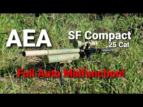 AEA SF Compact .25 Cal Range Day