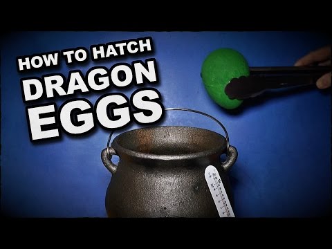 How To Hatch A Dragon's Egg