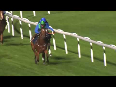 2018.09.21 Breeders' Trophy Juvenile (SWE) - Ramone