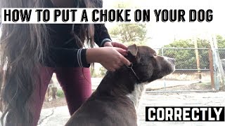 How to put a choke chain on your dog || Timeless K9 Training