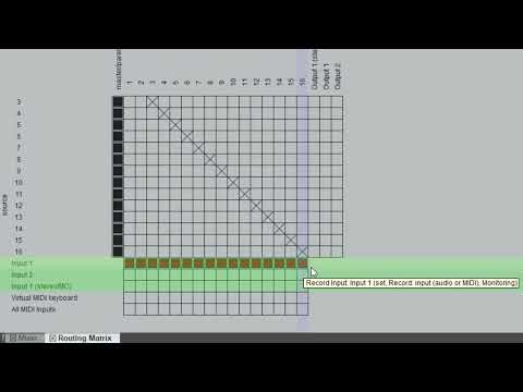 Video 18. Setting Up Reaper For Multi-Track Recording & VSCs. 7:07.