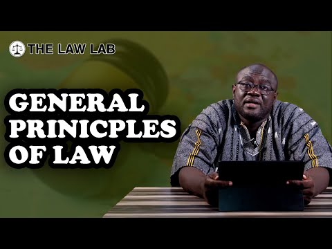 General principles of law