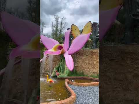 Voalá Mariposario y Orquideario-Tinjacá