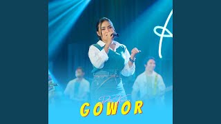 Download lagu GOWOR mp3