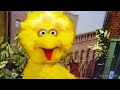 Episode 3824 Ending But Big Bird Has James P Sullivan S Voice