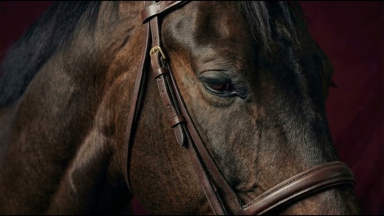 AI Generated Cinematic Promo Video | Luxury AI Video Ads for Brands