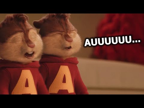 LATE CORAÇÃO, CACHORRO LATE CORAÇÃO