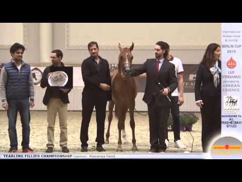 Second place Berlin Cup Werder 2015 - Yearling Fillies Championship (Class 15) - N.3 BAYAN AL SHAQAB