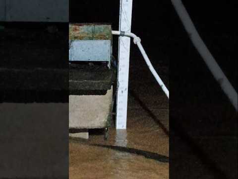 Atualização das 02:15 ⌚ (Cheias do Rio Pomba) Aperibé-RJ 27/02/2026