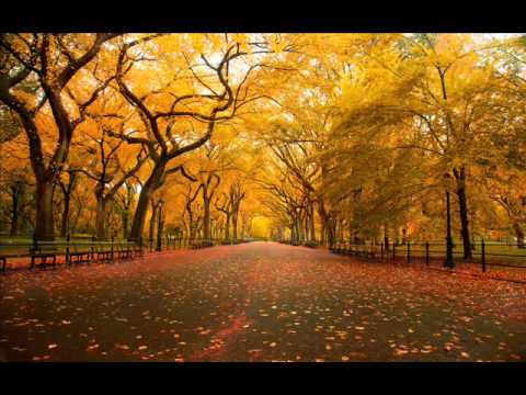 Tanas Todorovski  Dzani  IMA NESTO PESNO MOJA