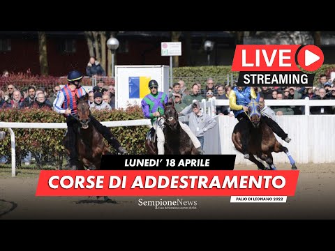 Terza riunione corse di addestramento | Palio di Legnano 2022