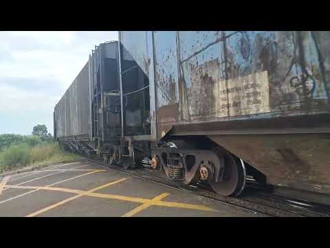 Trem em Guarapuava PR ( 29/01/2026)