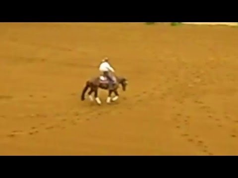 Ariat Reigning- Rolex 2012 "Documented Chic" Shown by Trevor Dare