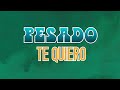 Pesado -  Te Quiero (Video Lyric)