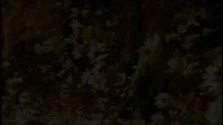 &quot;Carpathian Blues&quot; - John Stetch