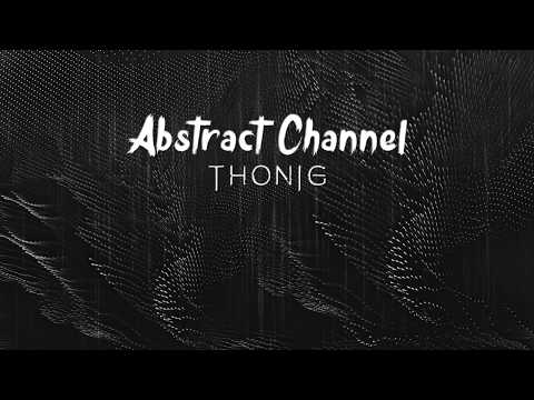 Abstract Guest Mix #013 - THONIG