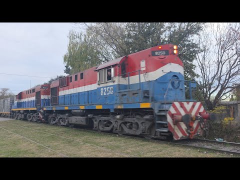 [4K] Tren de tolvas graneras de NCA con destino a General Deheza pasando por Marcos Juárez!!!!!!