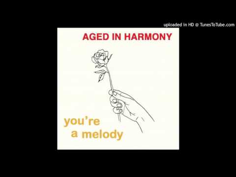 Aged in Harmony - Dance A While