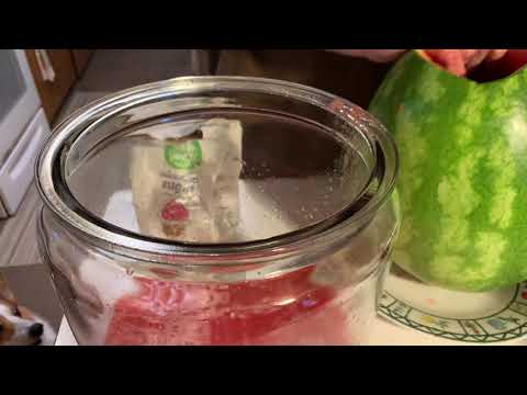 download lagu mp3 mp4 Watermelon Liqueur, download lagu Watermelon Liqueur gratis, unduh video klip Watermelon Liqueur