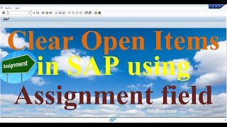 How to clear Open Items using Assignment field in SAP