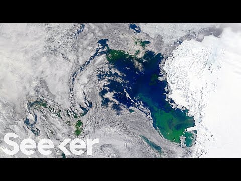 科学者たちは南極の謎の解決に一歩近づいた (Scientists Just Got One Step Closer to Solving an Antarctic Mystery)