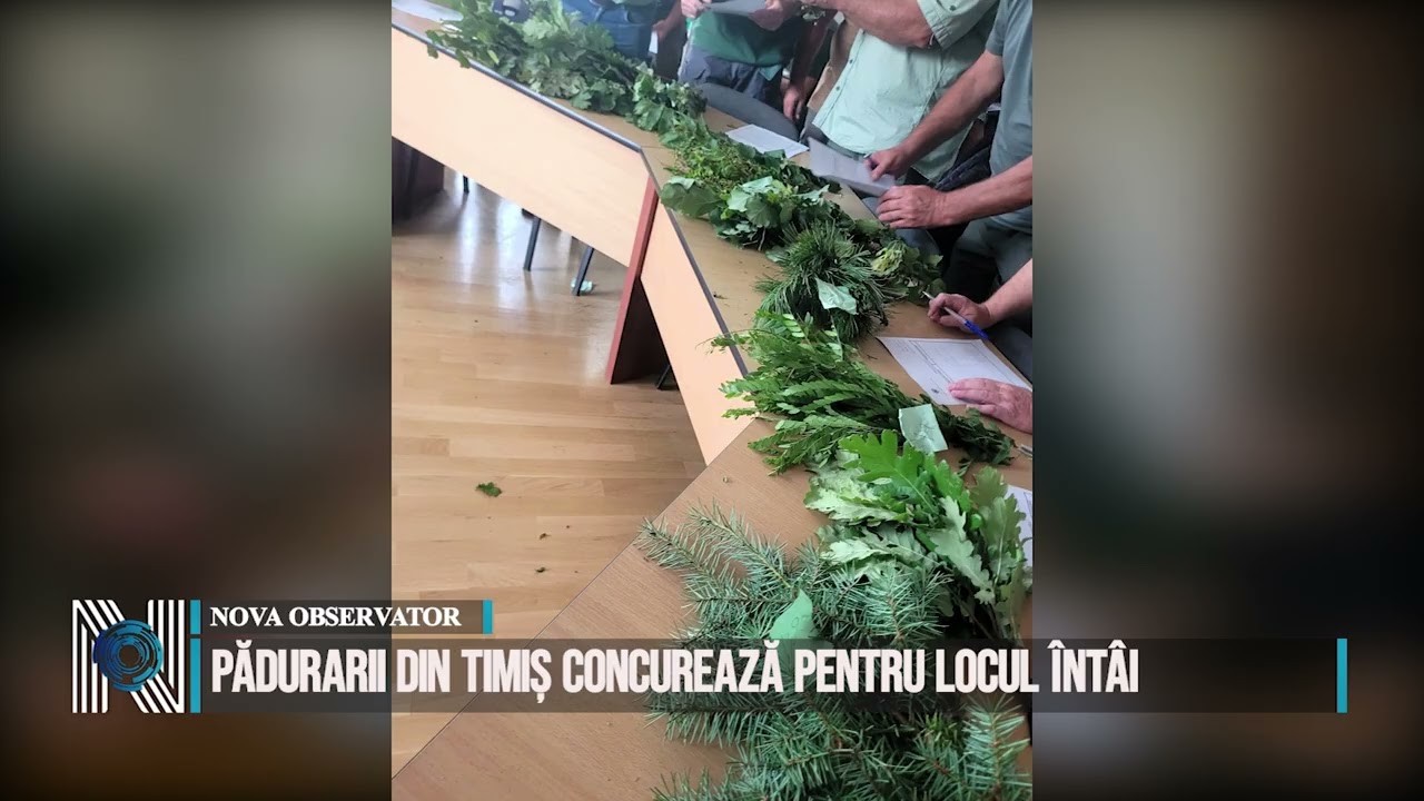 Pădurarii din Timiș concurează pentru locul întâi